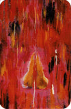 Asha's Meditation Cards